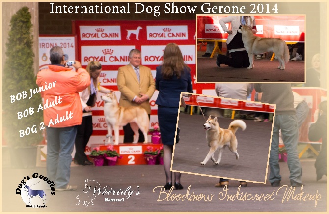 Weeridy's - CACIB Gerone (Es) 2014