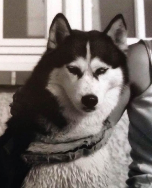 Jeiska (Sans Affixe)